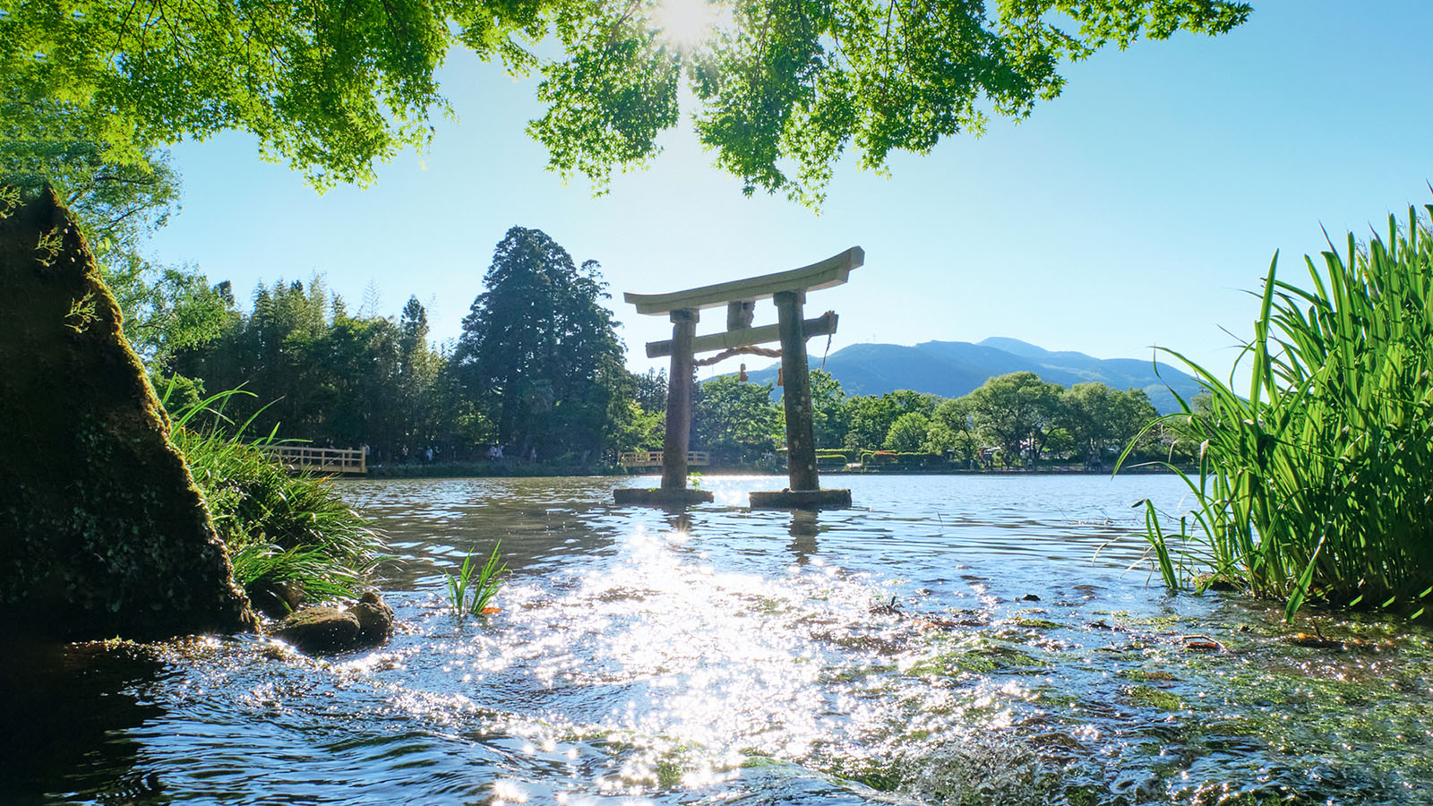 アイキャッチイメージ